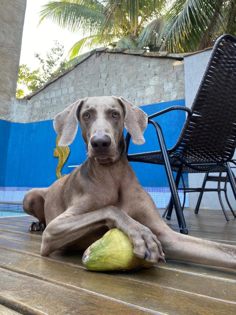 Casa Jaguar Buzios Suites A 3 Minutos Da Praia Geriba Exteriör bild